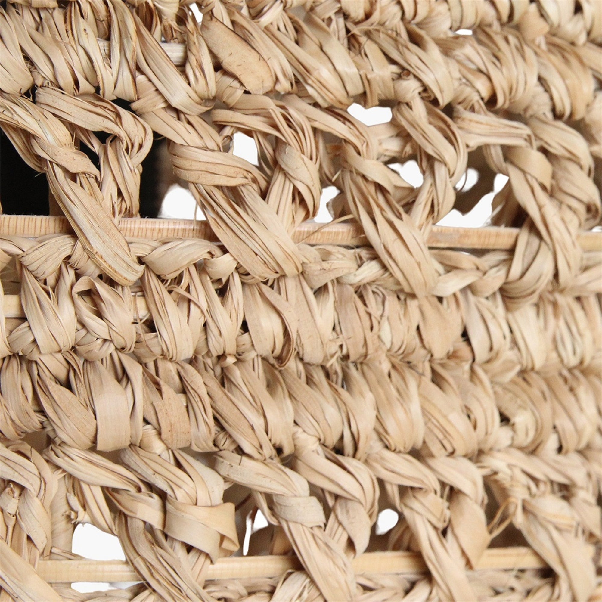 Raw Materials Zeegras Hanglampen Herba Set van 3