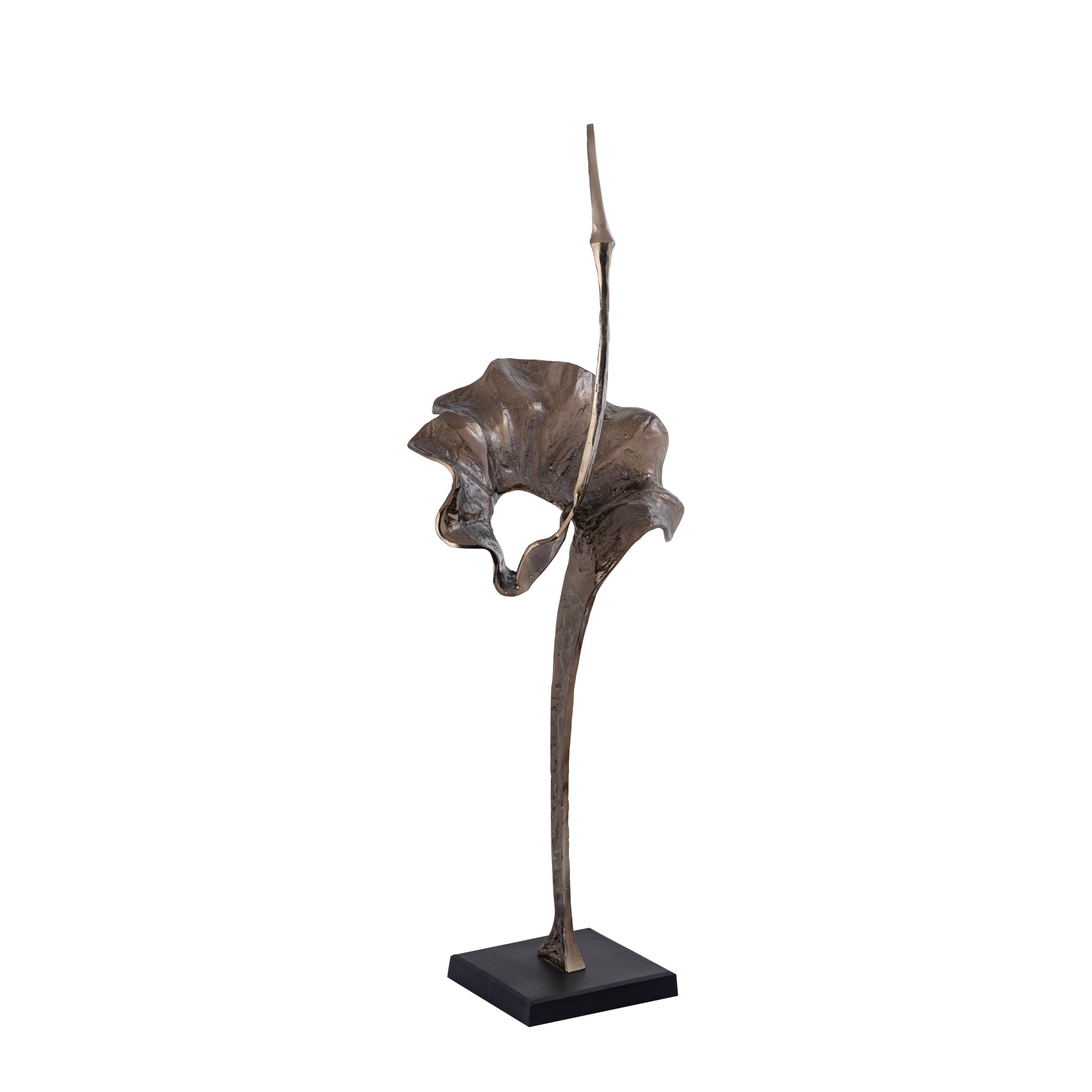 Artistiek Yobie Messing Extreme Standbeeld Large PTMD