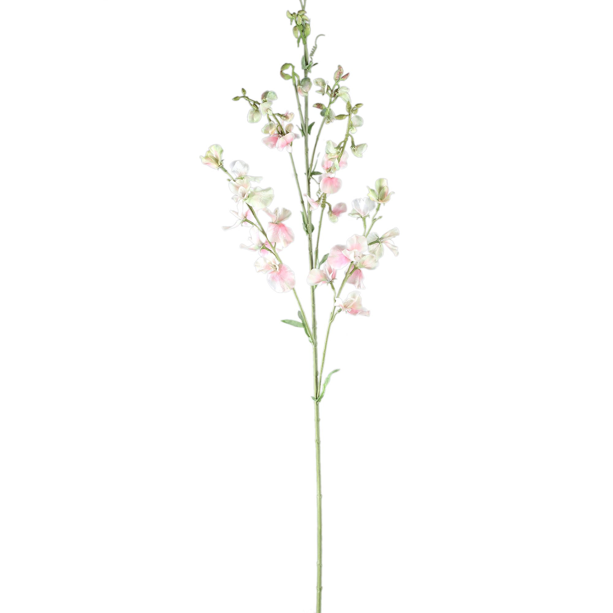 Garden Flower Cream Sweetpea Stem PTMD