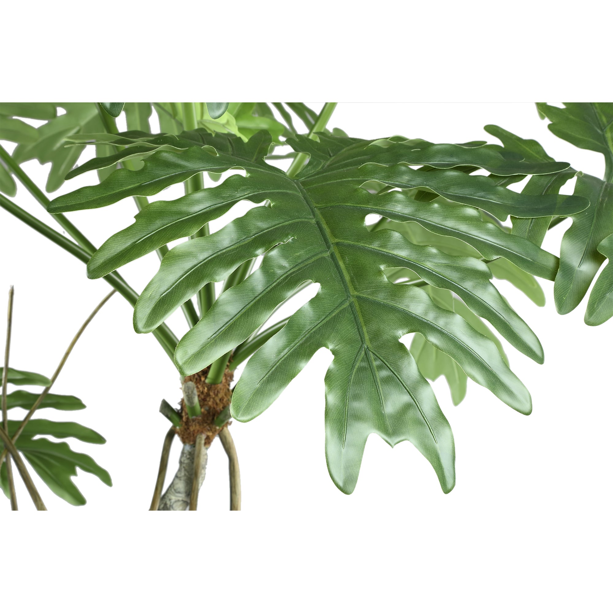 Tree Green Spring Rain Tree In Black Pot 170x120x170cm PTMD