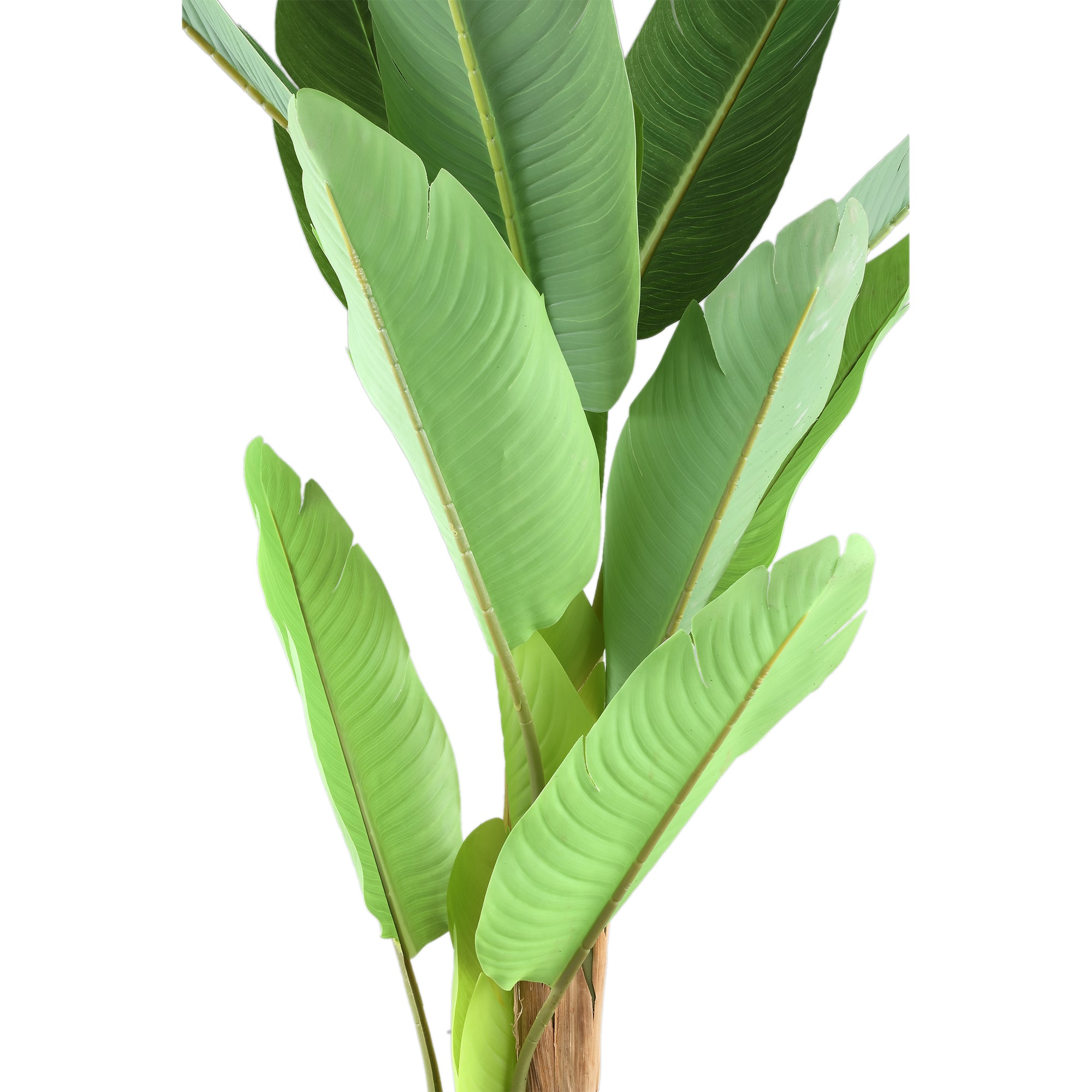 Tree Green PE Real Touch Banana Tree S 110x108x155cm PTMD