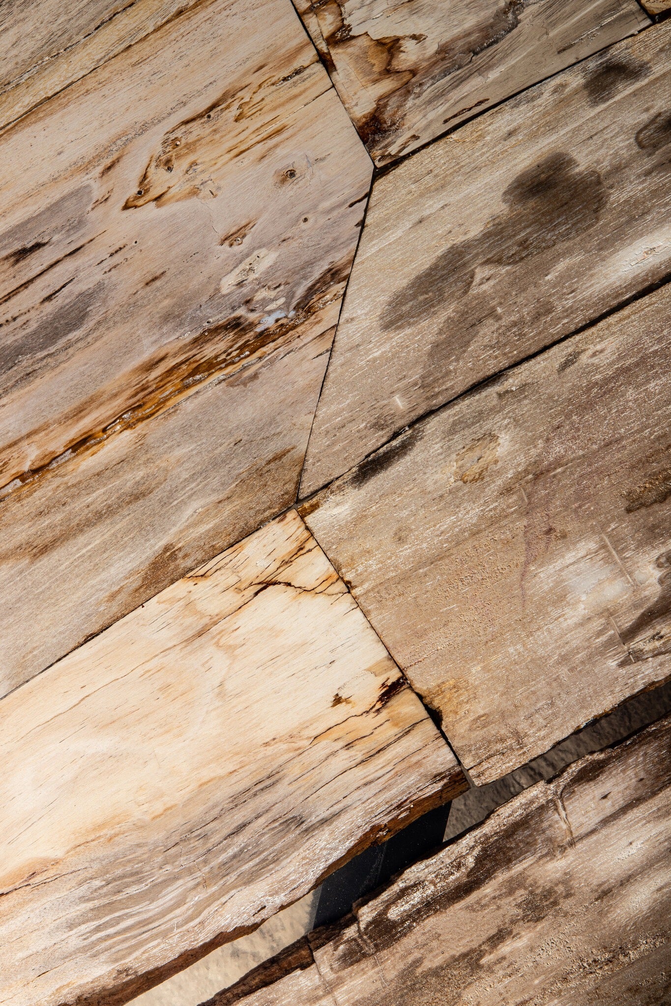 Salontafel Deeba Petrified wood 95 PTMD