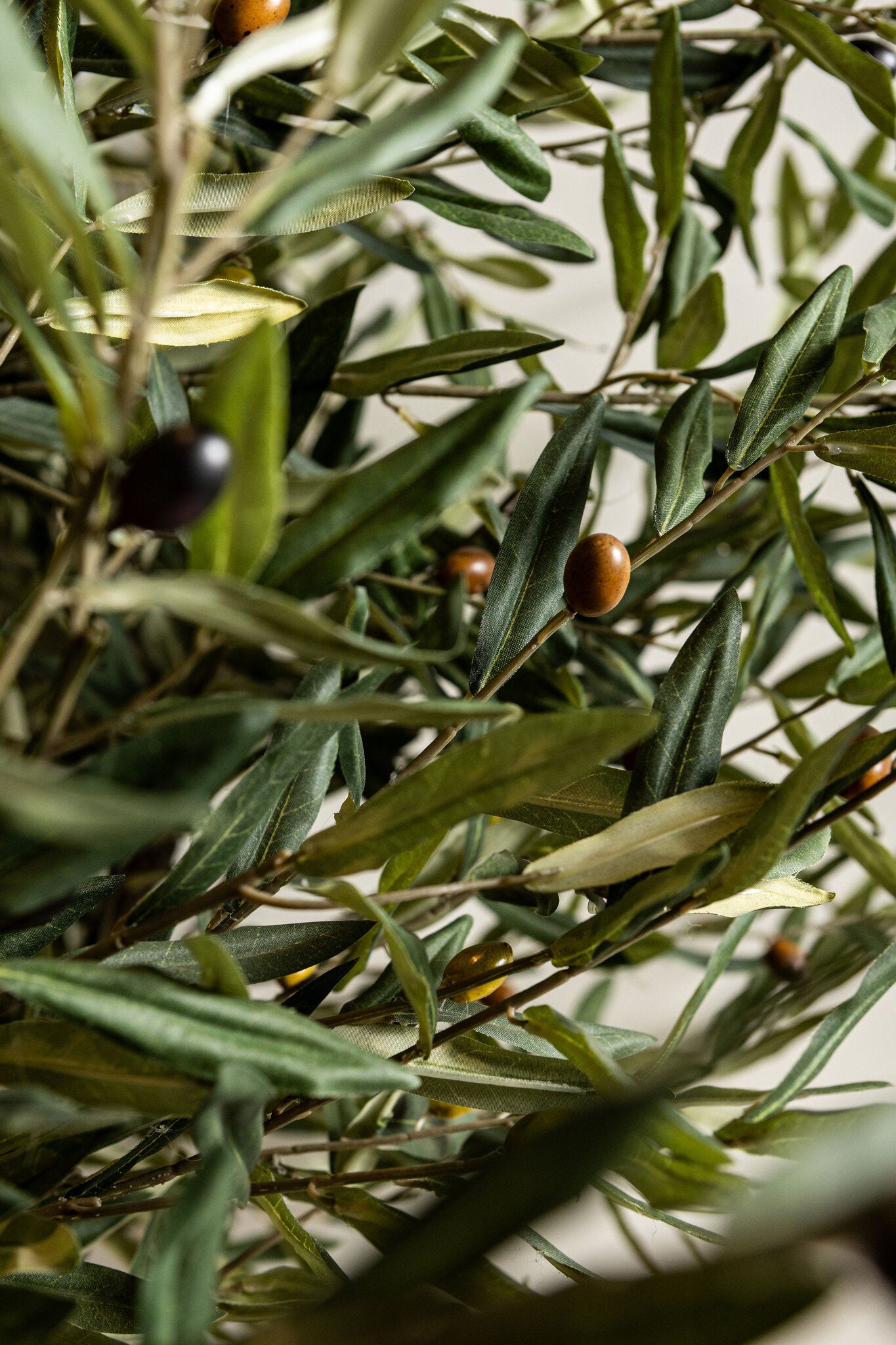 Tree Green Olive Tree In Pot 120x120x210cm PTMD