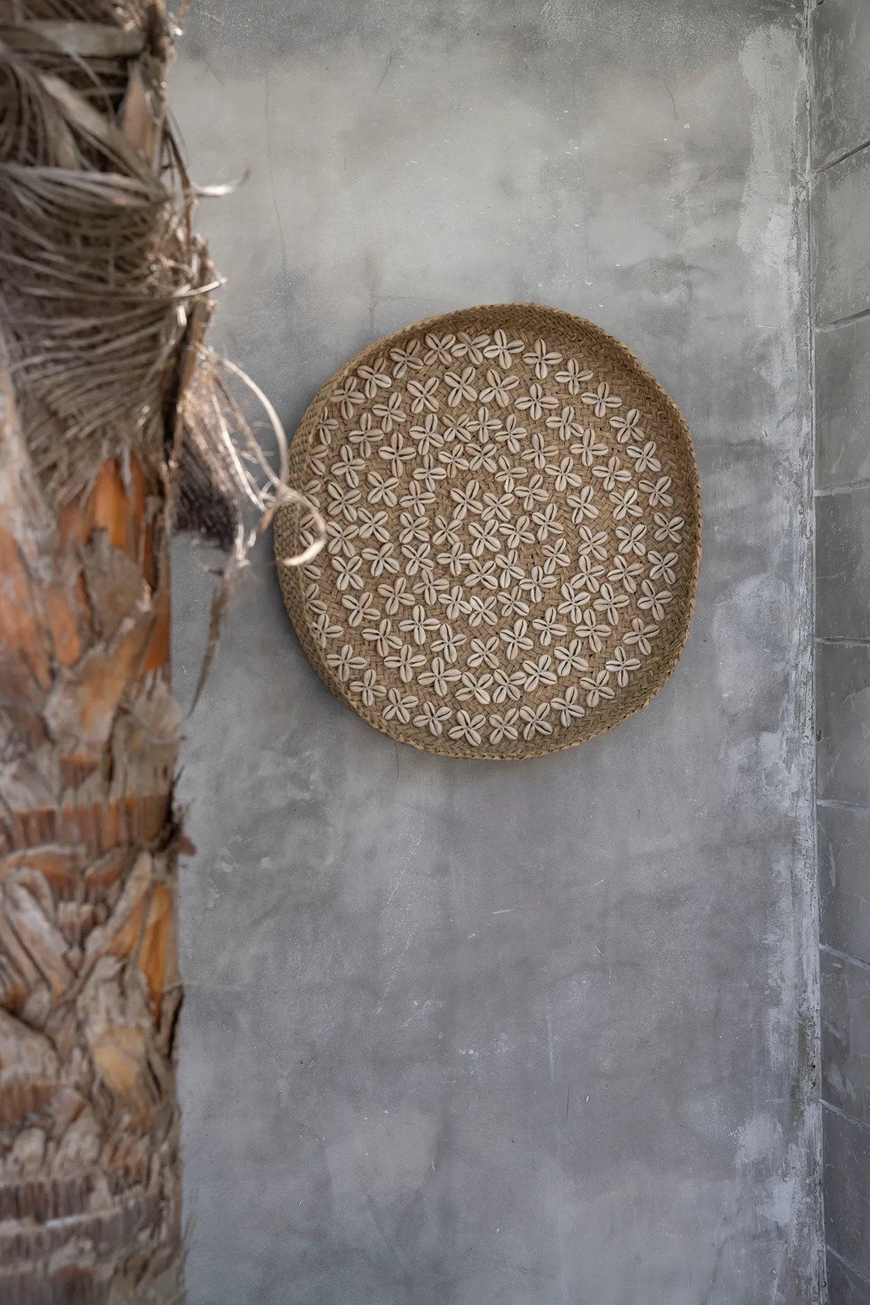 Het Costa Shell Bord - Natuurwit - M