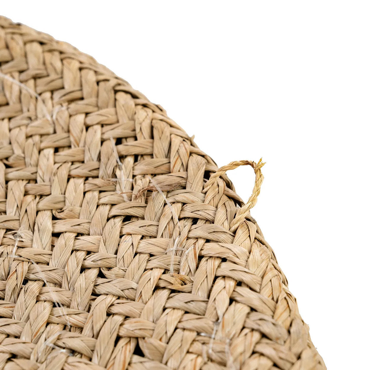 Het Costa Shell Bord - Natuurwit - M