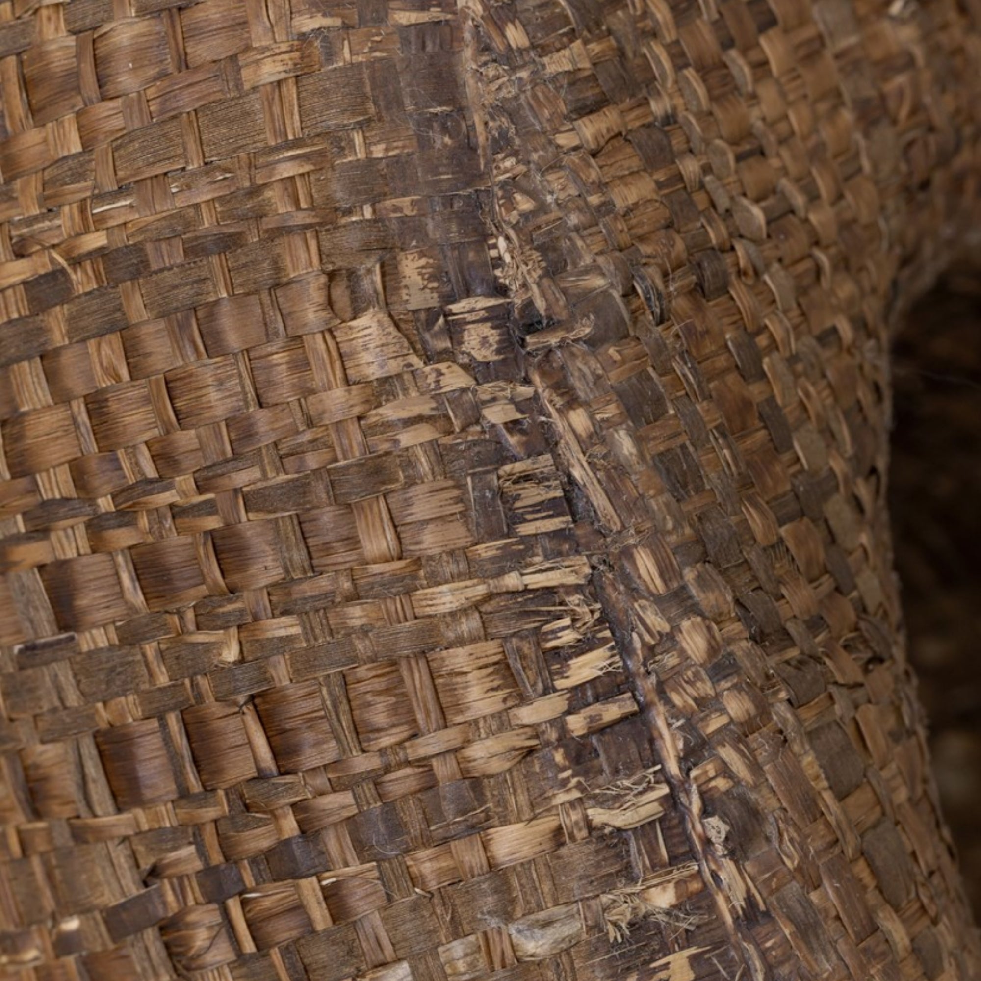 MUST Living Statue Dolce XL