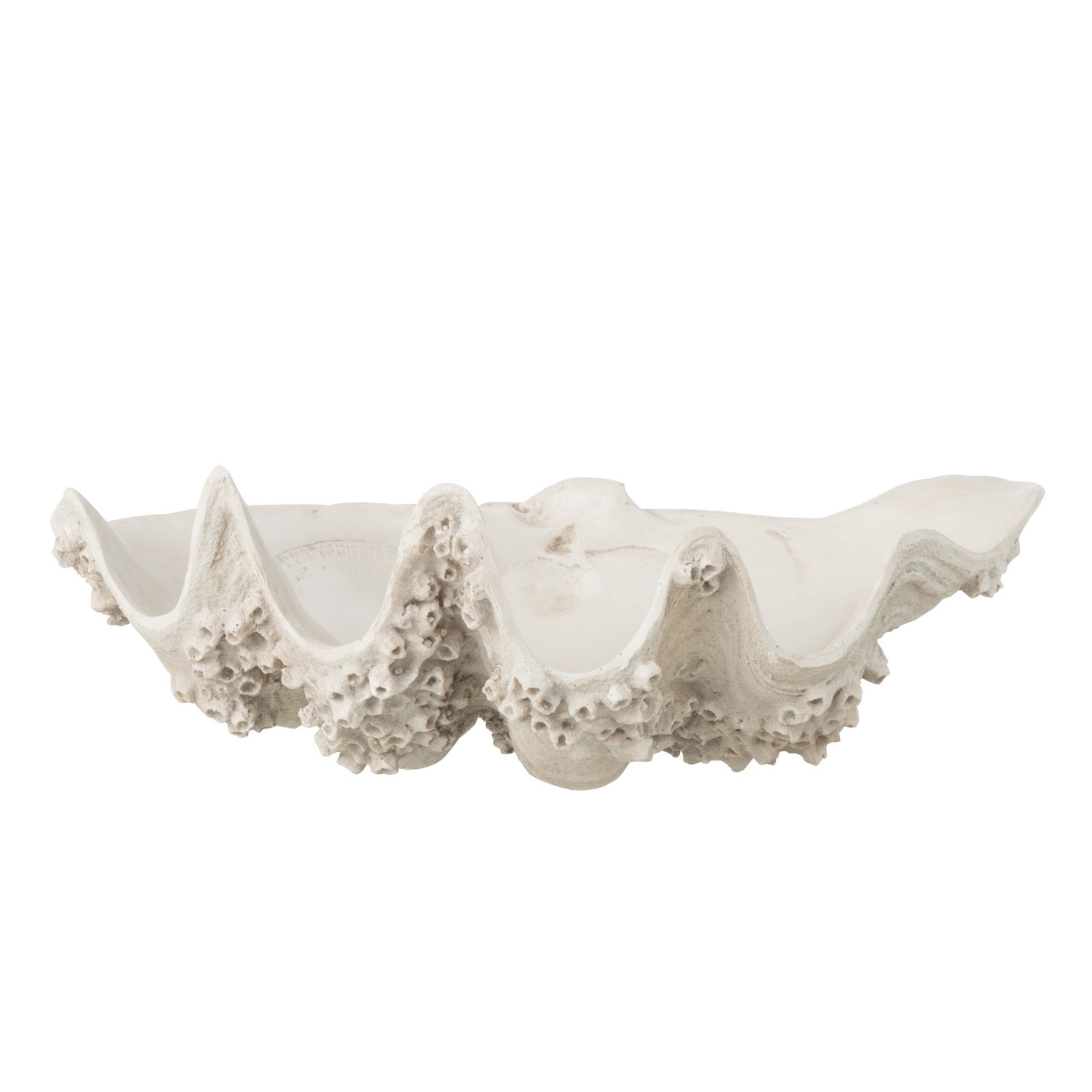 Sierschaal Zeeschelp Hars Gebroken Wit Small J-Line