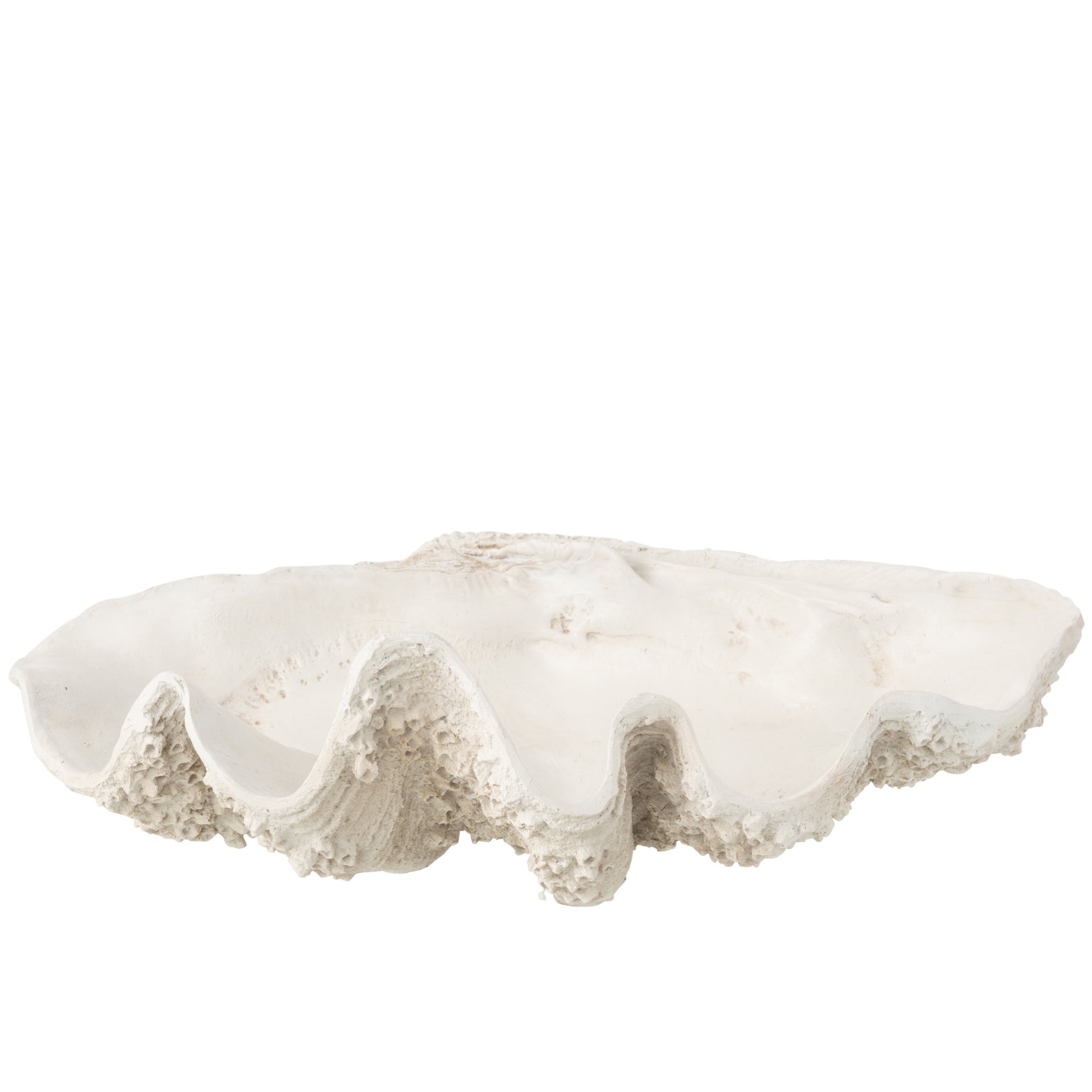 Sierschaal Zeeschelp Hars Gebroken Wit Large J-Line