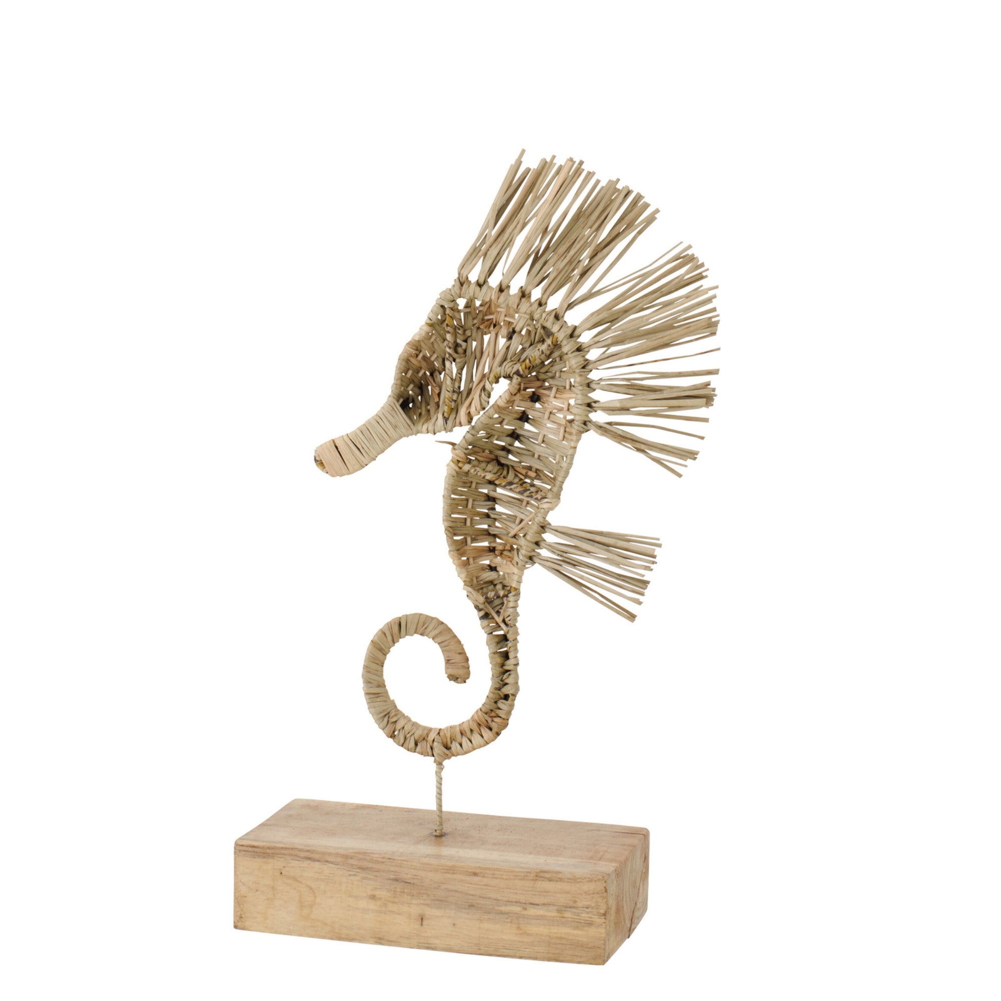 Zeepaard Op Voet Gras Naturel Small J-Line