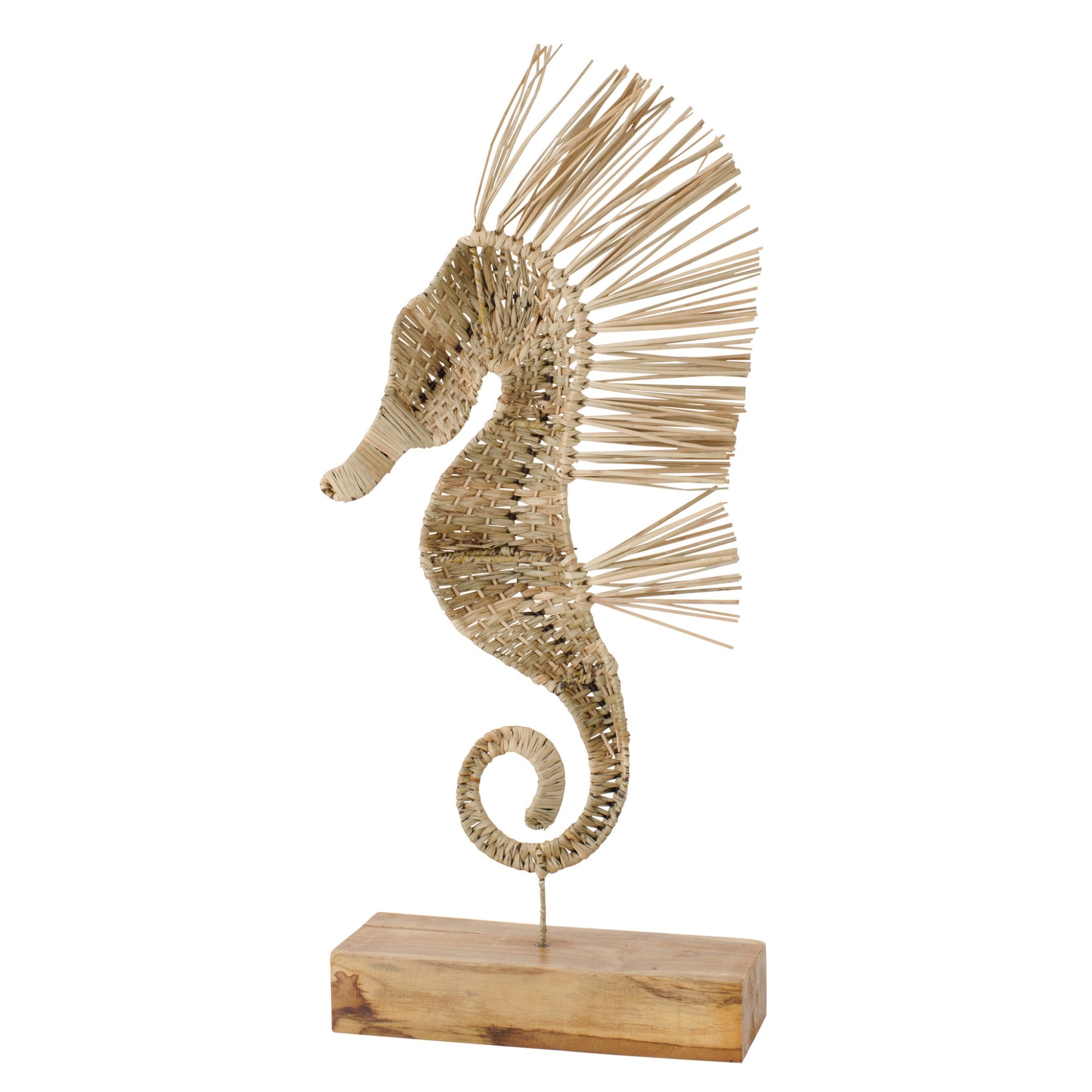 Zeepaard Op Voet Gras Naturel Large J-Line