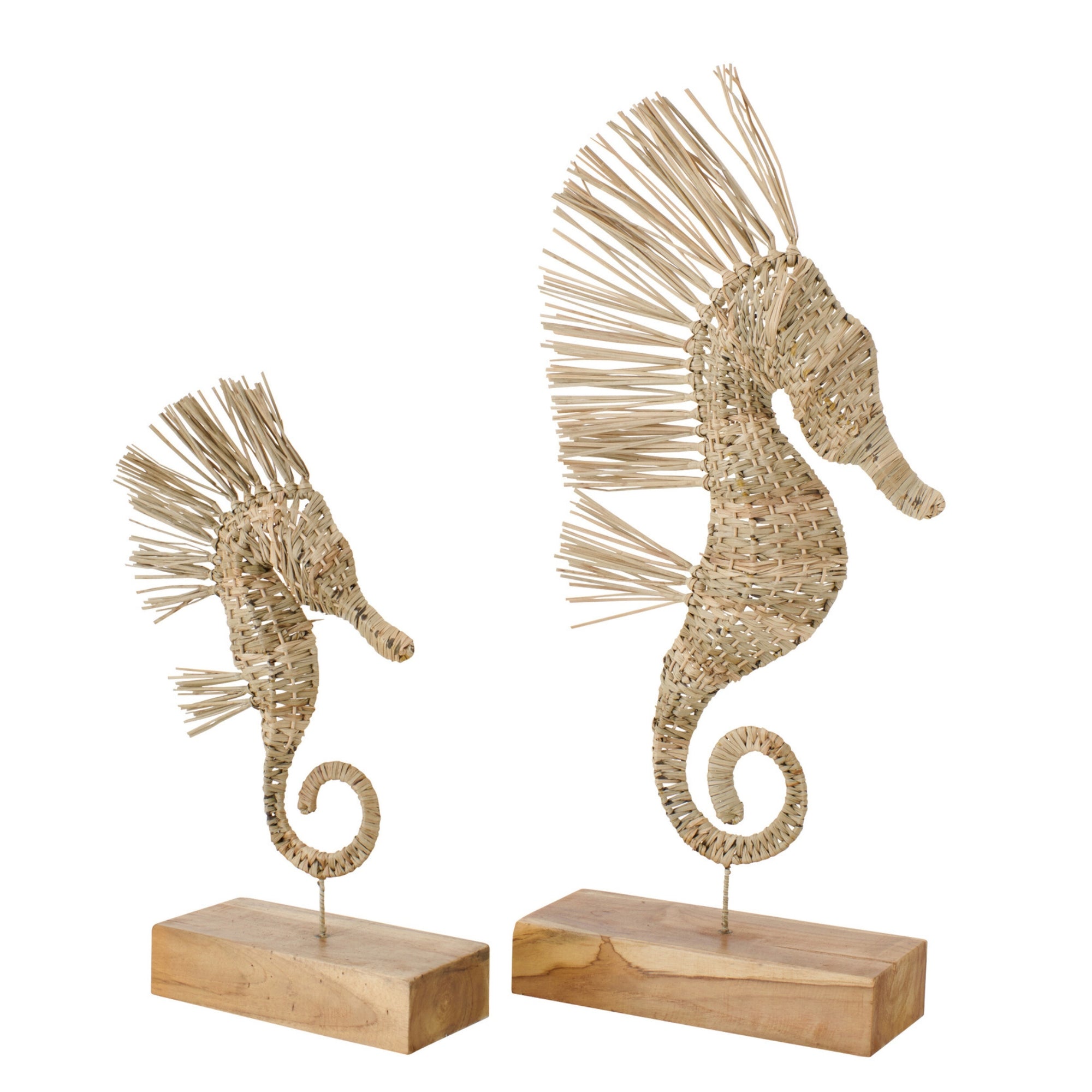 Zeepaard Op Voet Gras Naturel Large J-Line