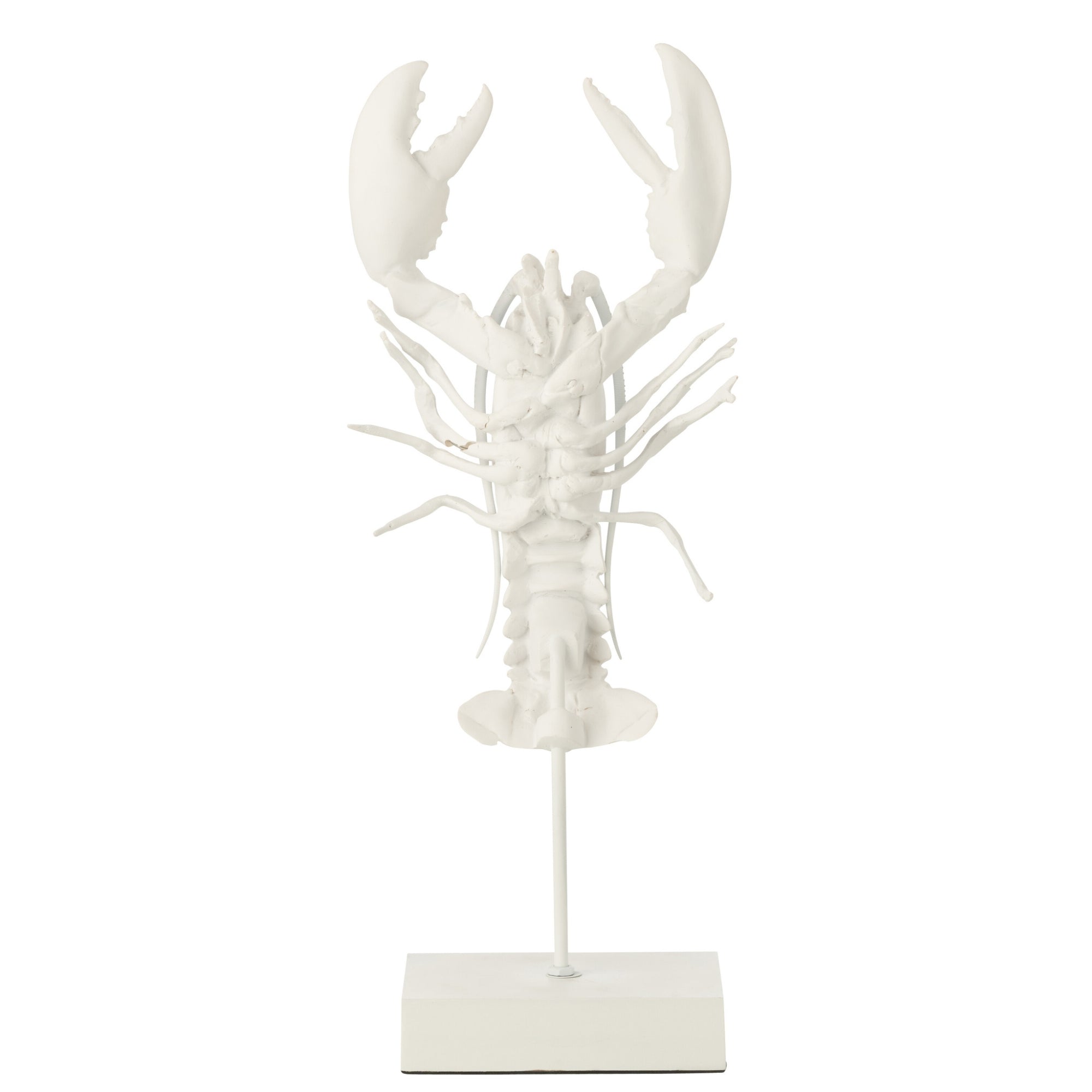 Kreeft Op Voet Polyresin Wit J-Line