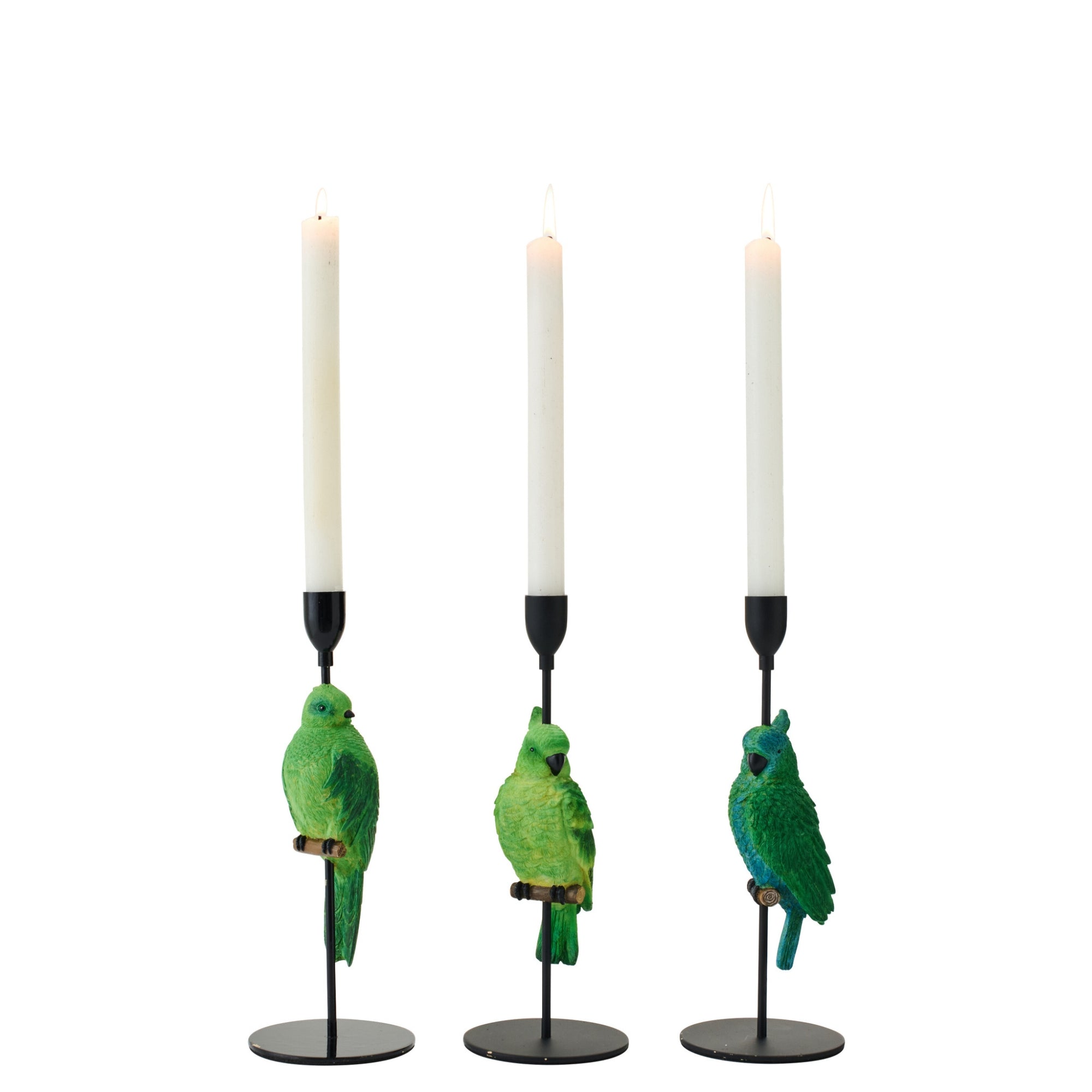Kaarshouder Op Voet Papegaai Kalk Groen/Blauw Assortiment Van 3 J-Line