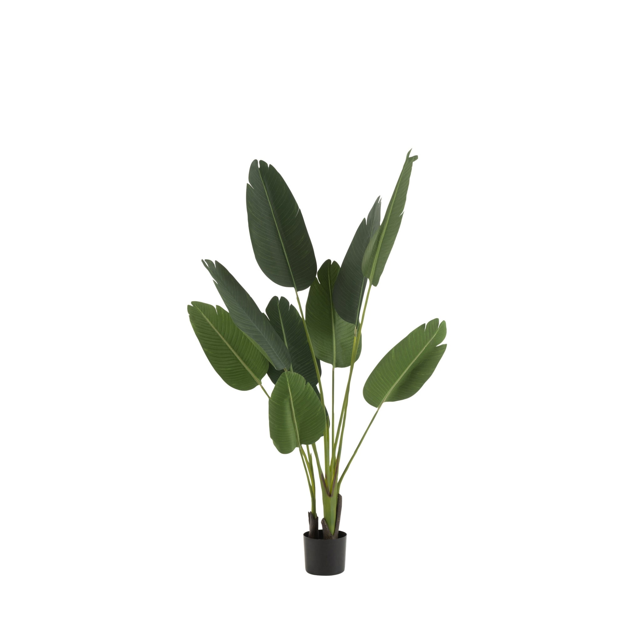 Strelitzia Plastiek Groen Small