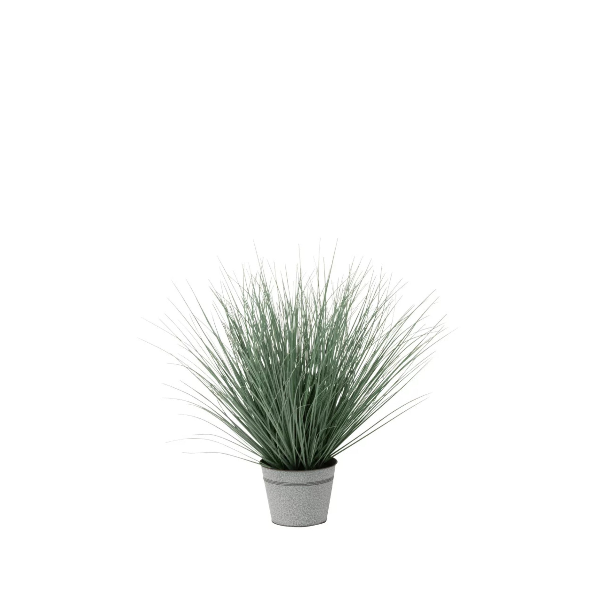Grassen In Pot Metaal Plastiek Blauw/Groen Medium