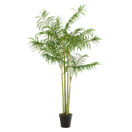 Bamboo Palm In Pot Plastic Green/Black Large , kunstplant , J-Line , livinglovely.nl
