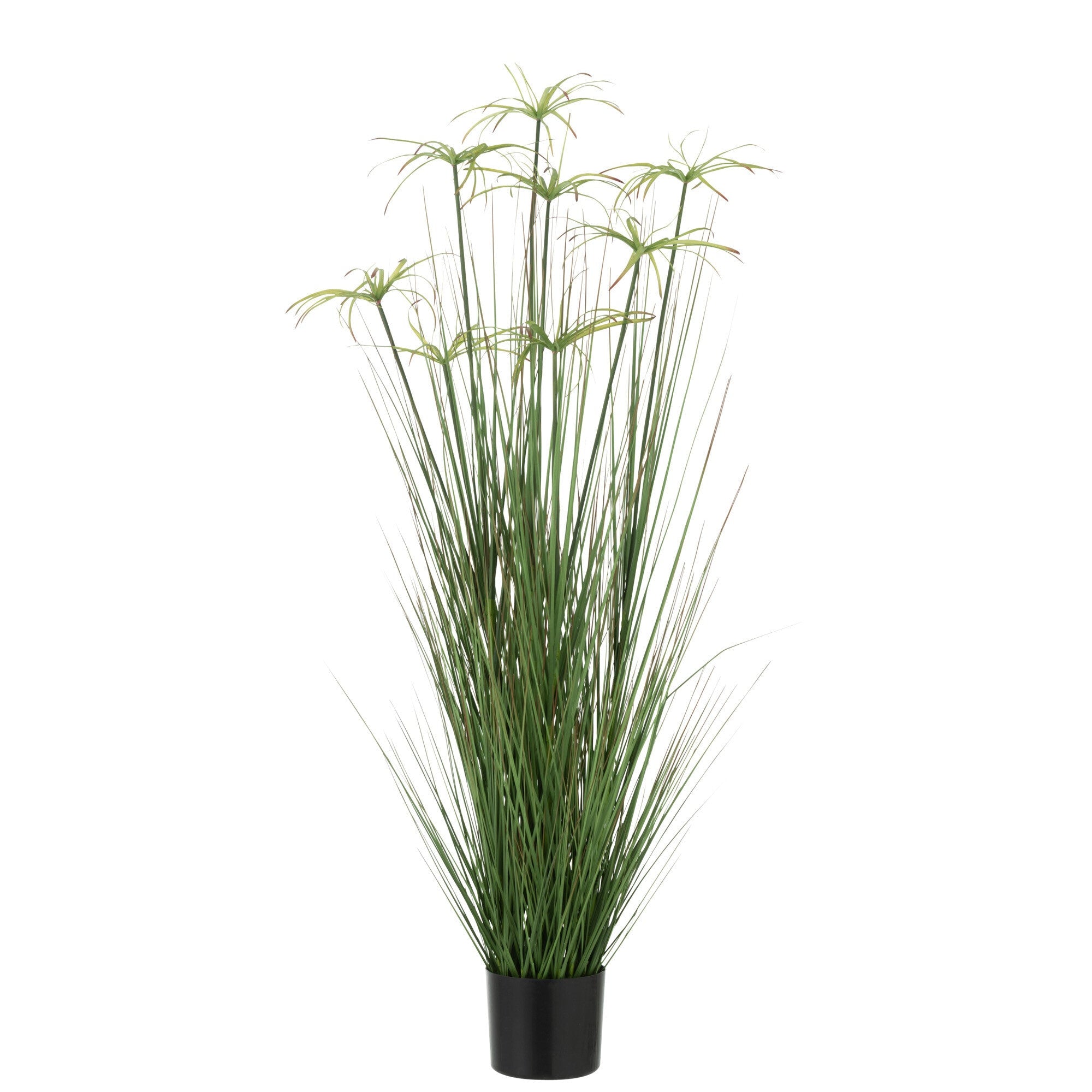 Cyperus Alternifolius 8 Koppen In Pot Pvc Groen Medium - Kunstplant - J-Line - livinglovely.nl