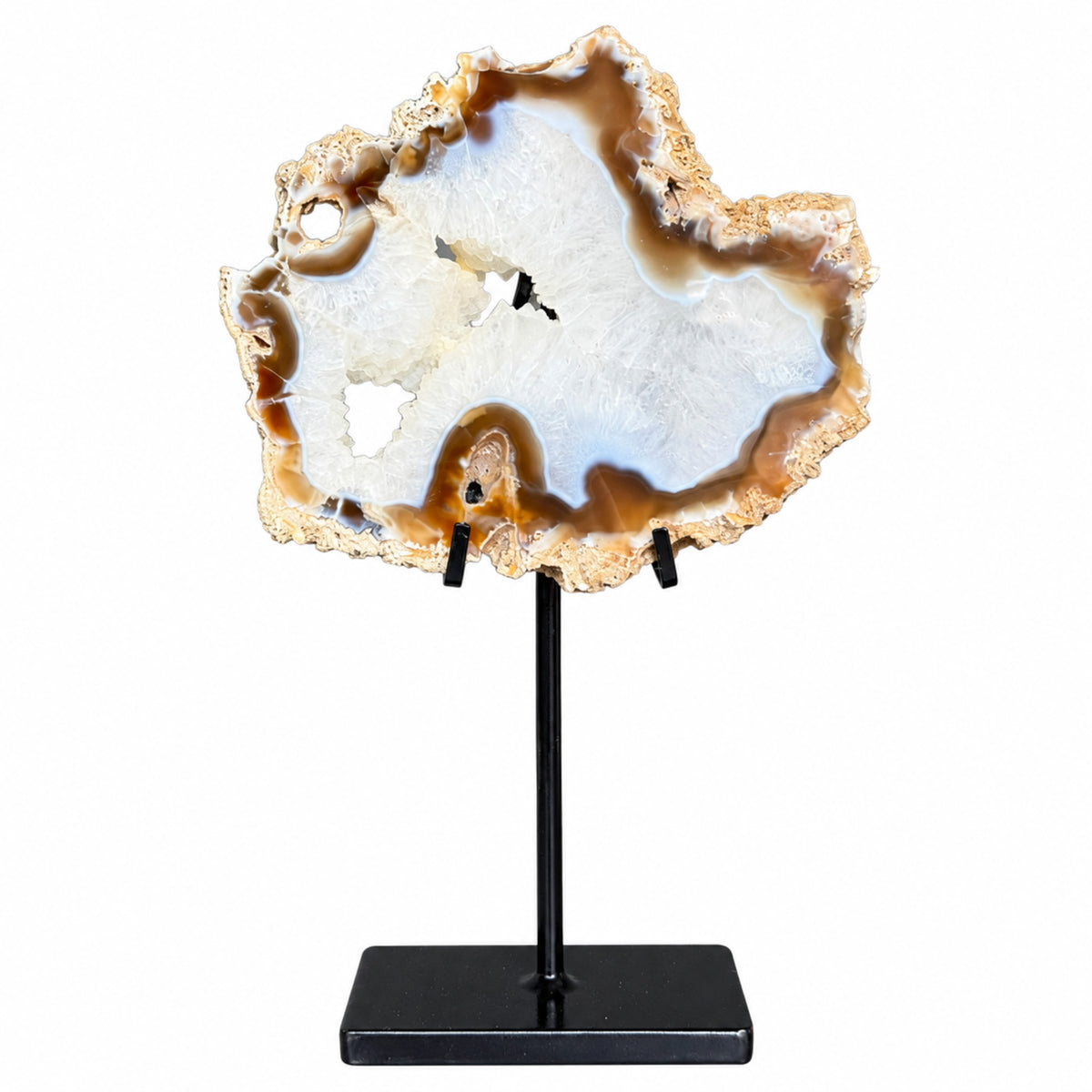 Josha Ornament Koraal Kristal Naturel Plak Large van PTMD, grote plak koraal kristal op standaard op witte achtergrond