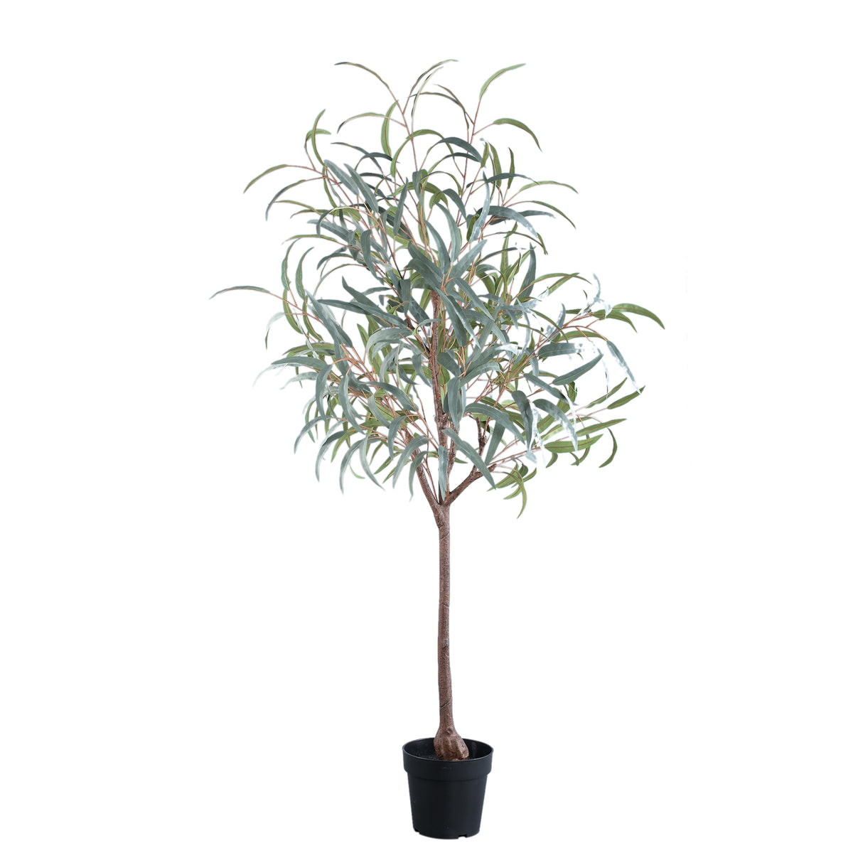 Kunstboom eucalyptus van PTMD in donkergroen met zwarte pot, 150 cm hoog