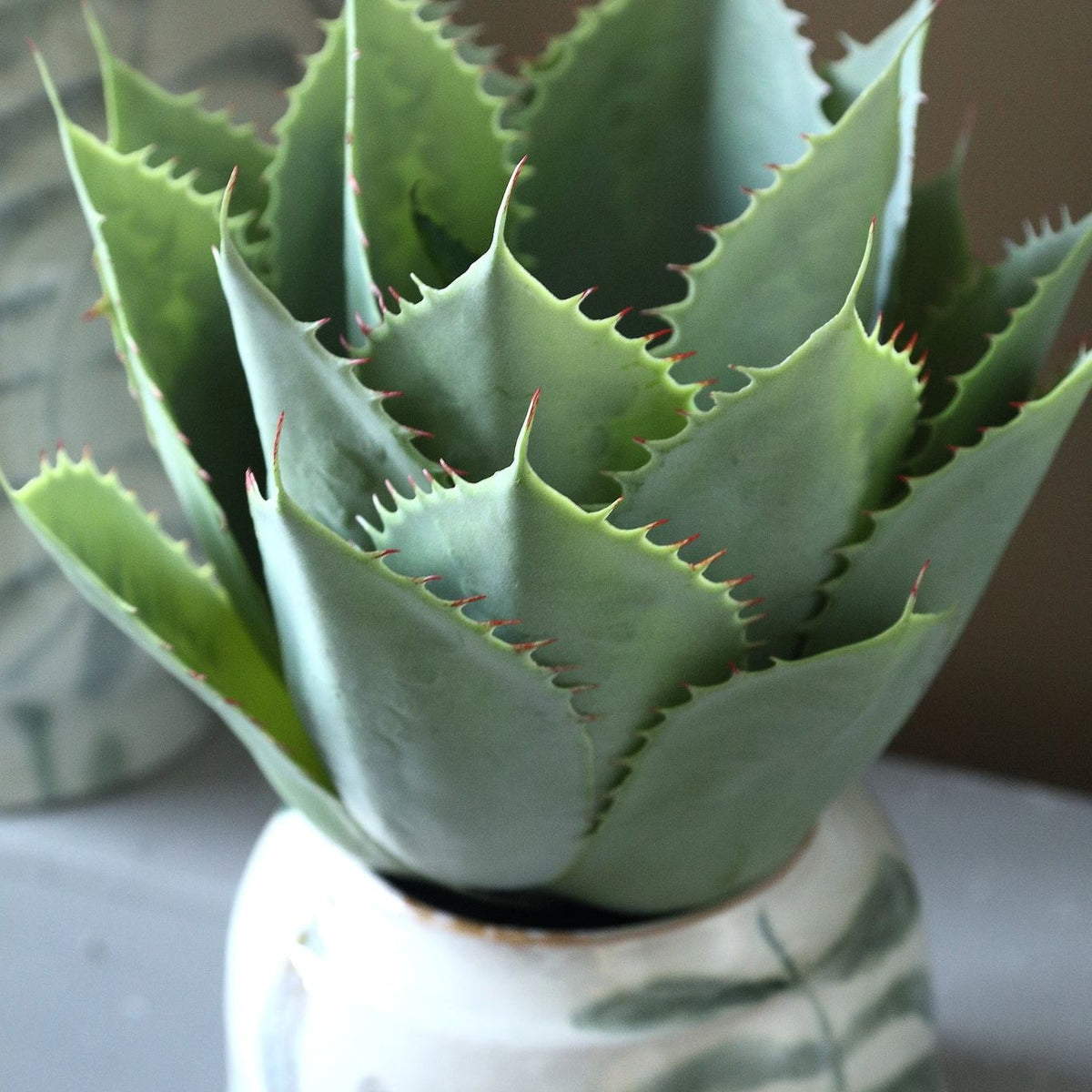 Kunstagave van PTMD in pot gestyled op een dressoir met decoratie