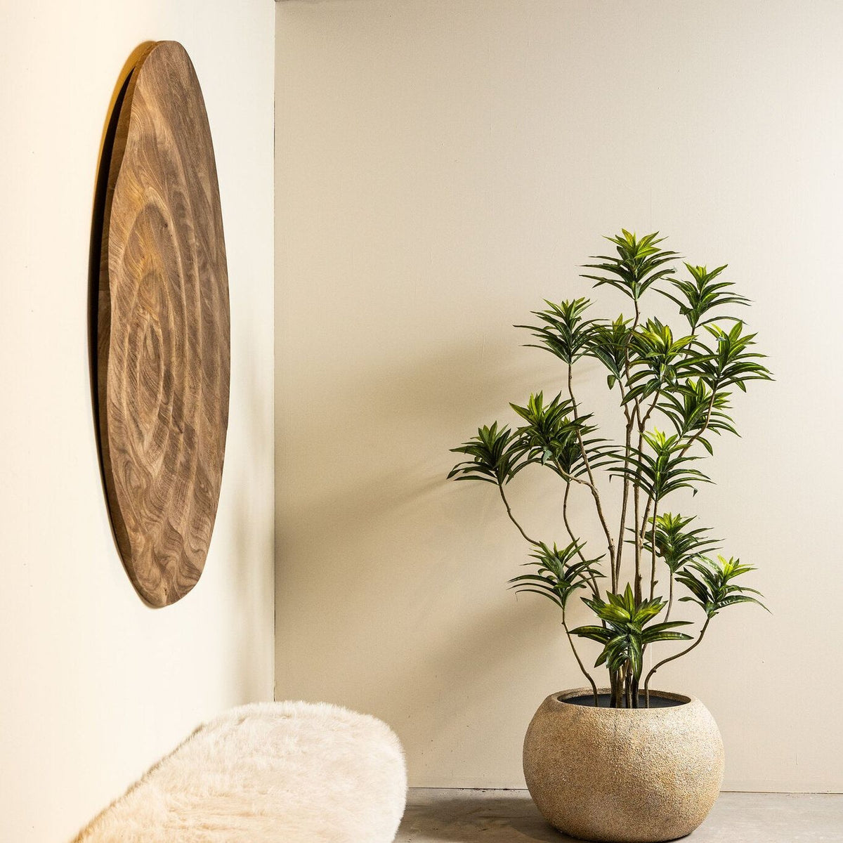 Kunstdracaena van PTMD in zwarte pot gestyled in een lichte woonkamer