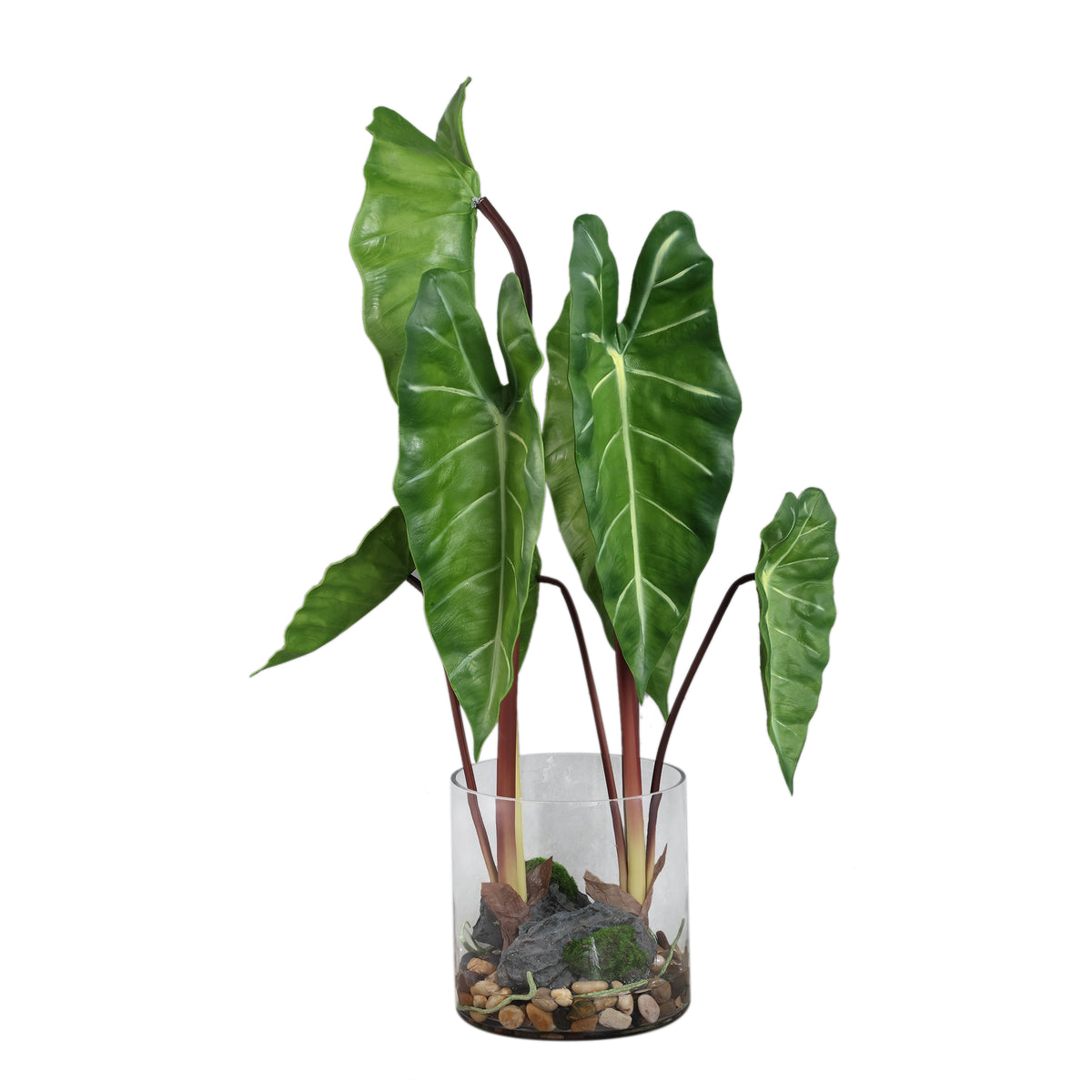 Kunstplant philodendron van PTMD in groen met glazen vaas, 80 cm hoog