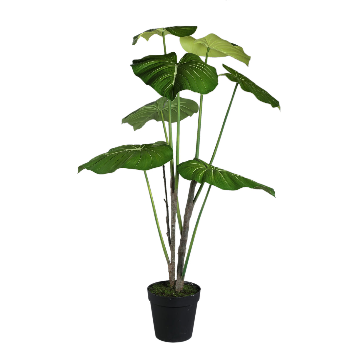 Kunstplant philodendron van PTMD in groen met zwarte pot, 178 cm hoog