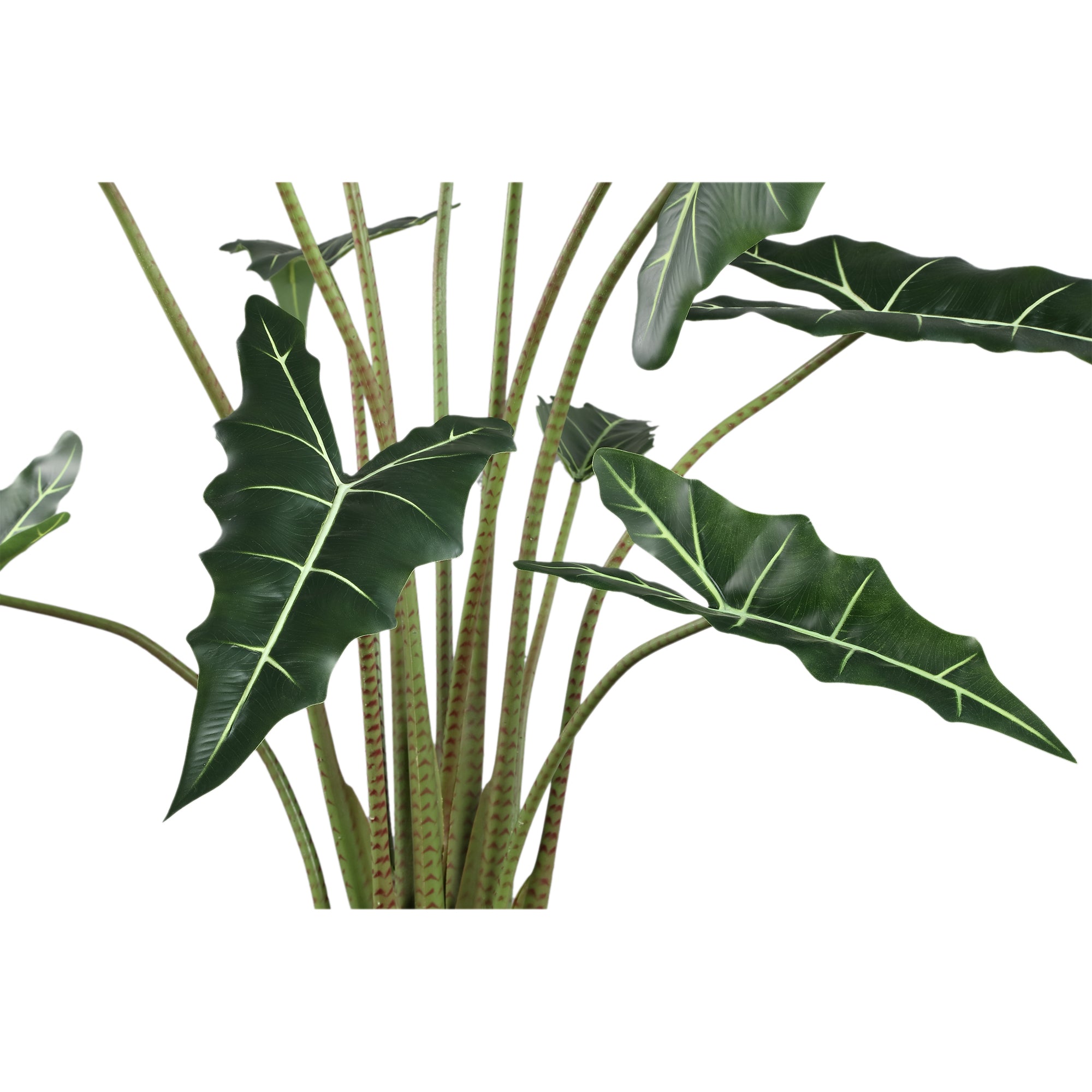 Leaves Plant Green Alocasia Plant In Pot L 117x137x140cm PTMD - Kunstplant - PTMD - livinglovely.nl