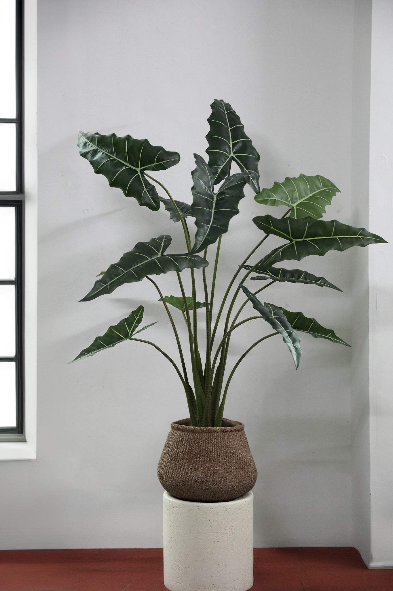 Leaves Plant Green Alocasia Plant In Pot L 117x137x140cm PTMD - Kunstplant - PTMD - livinglovely.nl