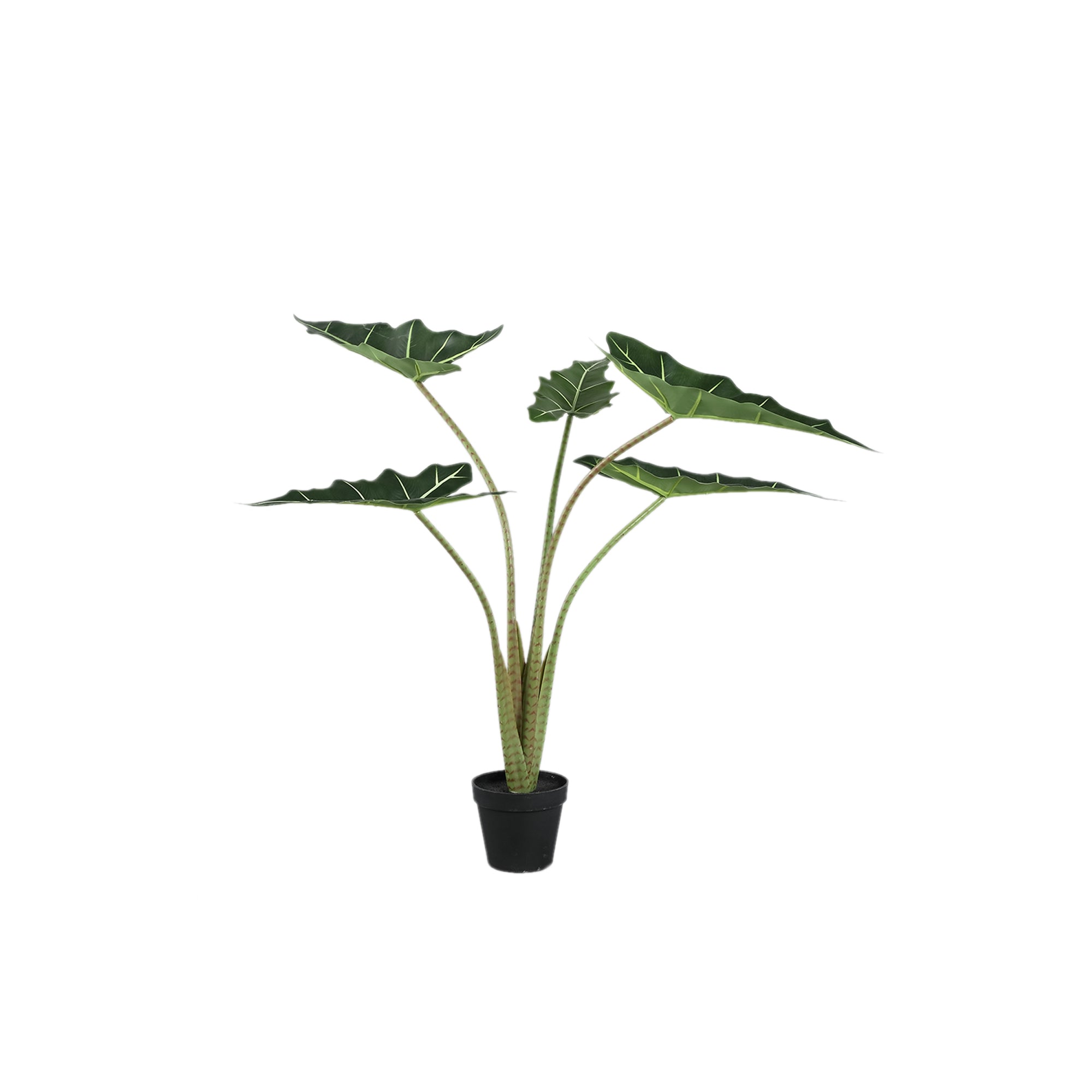 Leaves Plant Green Alocasia Plant In Pot S 60x76x80cm PTMD - Kunstplant - PTMD - livinglovely.nl
