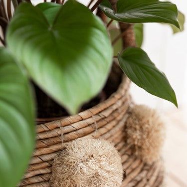 Mand Rio rotan met handvat in interieur MUST Living
