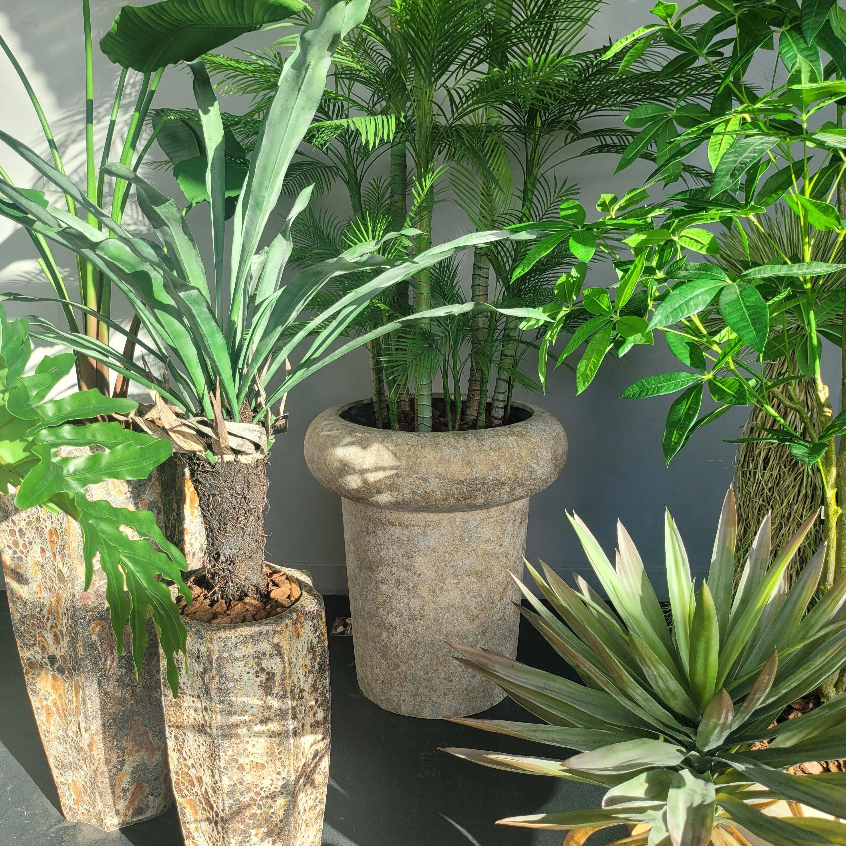 Megga Brown Big Brushed Cement Pot Thick Border 90x80cm PTMD - Pot - PTMD - livinglovely.nl