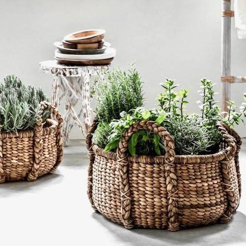 Must Living Manden Colony Set van 2 Laag - Mand - MUST Living - livinglovely.nl