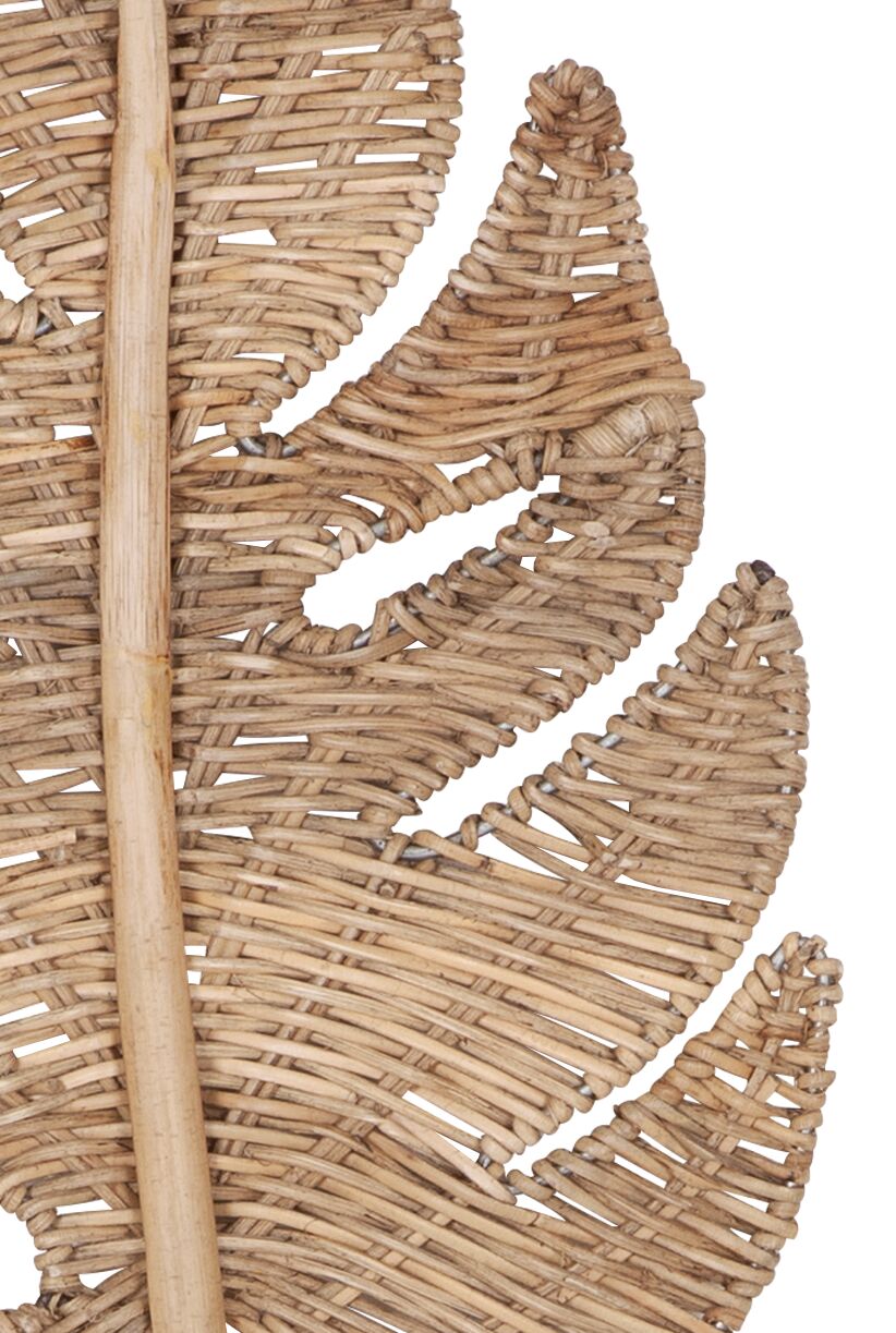 Must Living Wandblad Perzik Small - Wanddecoratie - MUST Living - livinglovely.nl