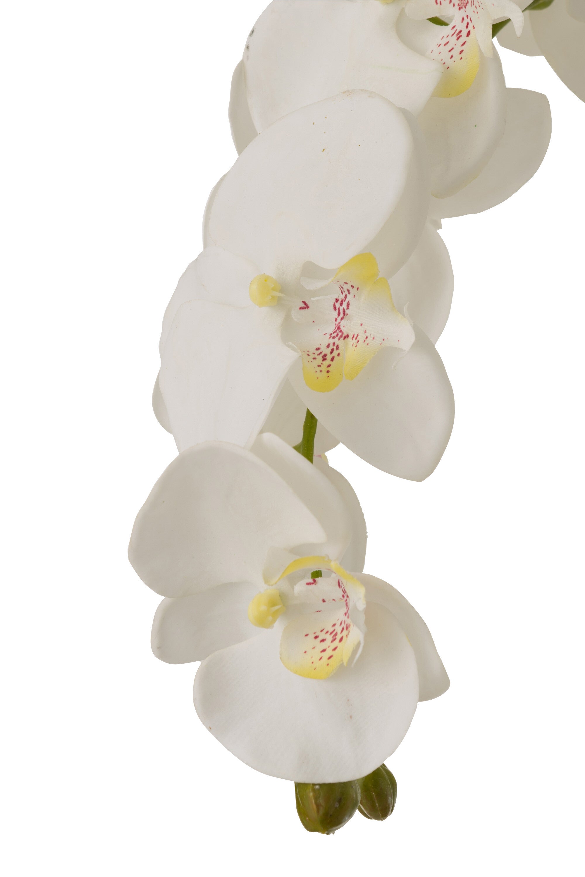 Orchidee In Aarde Plastiek Wit/Groen Extra Large L60cmb53cmh104cm - Kunstplant - J-Line - livinglovely.nl