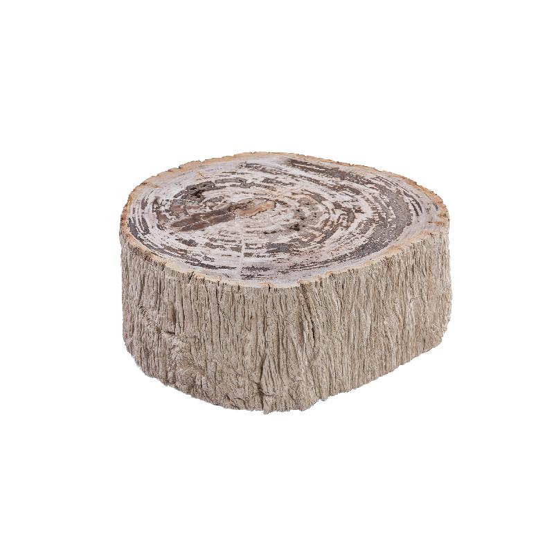 Taly Koffietafel Versteend Hout Naturel Small PTMD