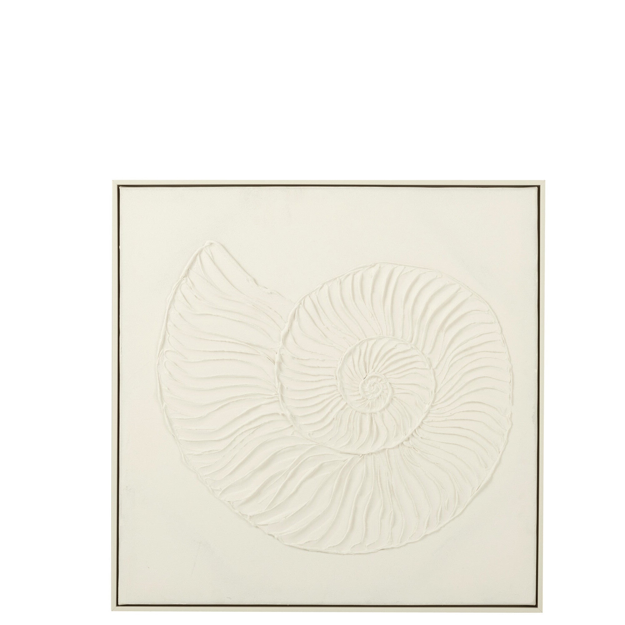 Schilderij Schelp Acrylverf/Canvas Wit - Schilderij - J-Line - livinglovely.nl