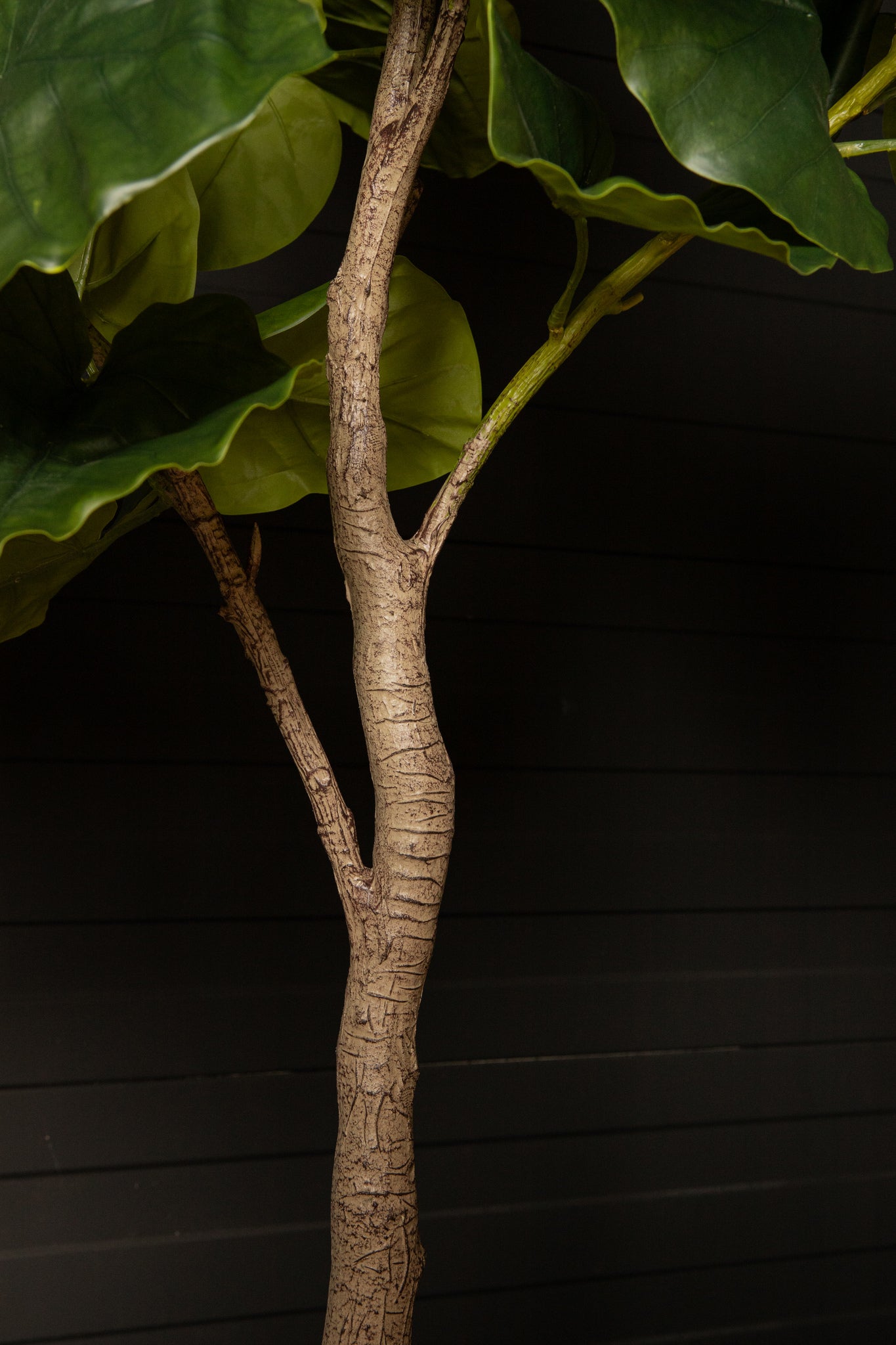 Tree Green Ficus Tree In Pot M 109x115x15,5cm PTMD - Kunstplant - PTMD - livinglovely.nl