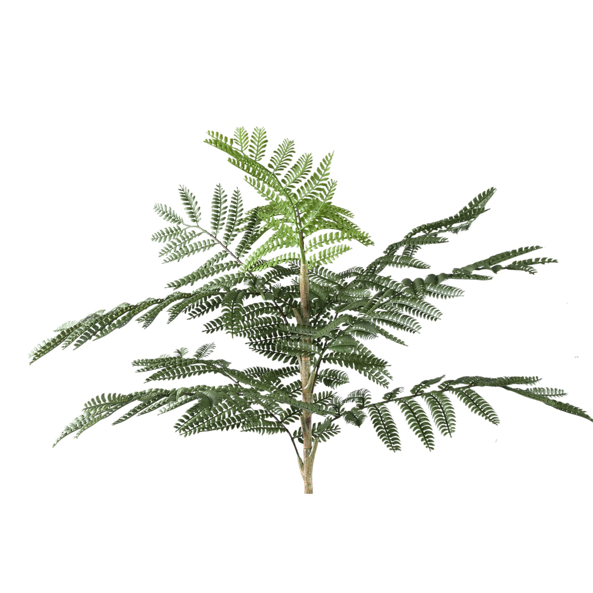 Tree Green Jacaranda Tree In Pot 43x45x99cm PTMD - Kunstplant - PTMD - livinglovely.nl