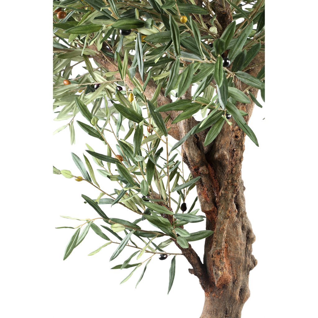 Tree Green Olive Tree In Pot 120x120x210cm PTMD - Kunstplant - PTMD - livinglovely.nl