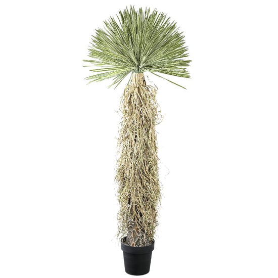 Tree Green Yucca Tree in Platic pot PTMD , kunstplant , PTMD , livinglovely.nl