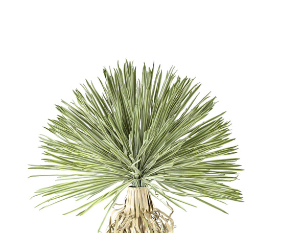 Tree Green Yucca Tree in Platic pot PTMD , kunstplant , PTMD , livinglovely.nl