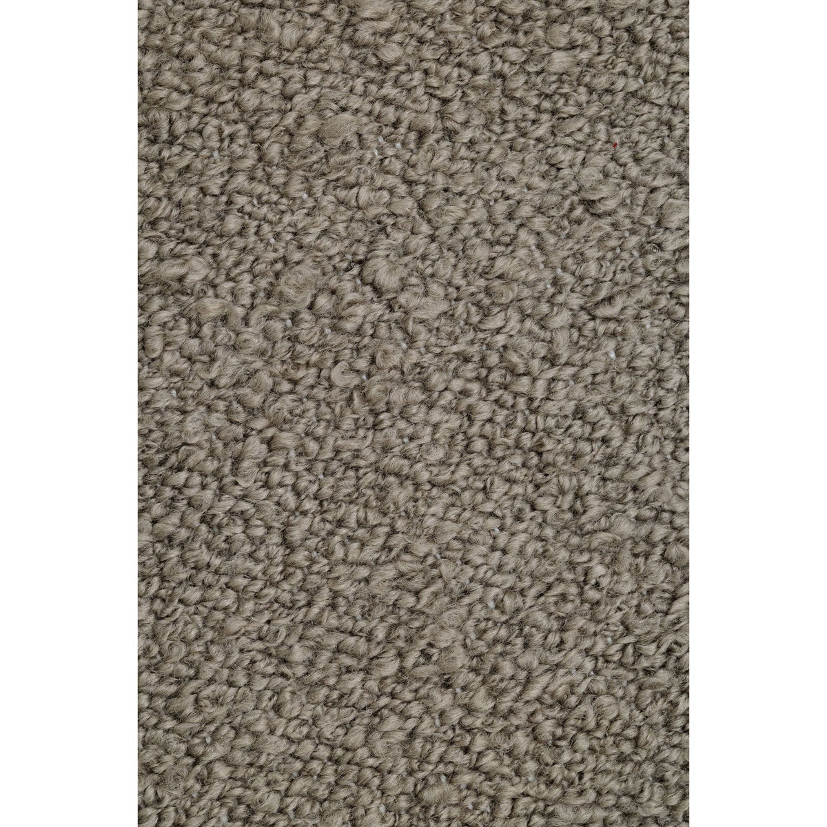 Close-up van de gemeleerde pool van het taupe Noble vloerkleed van MUST Living