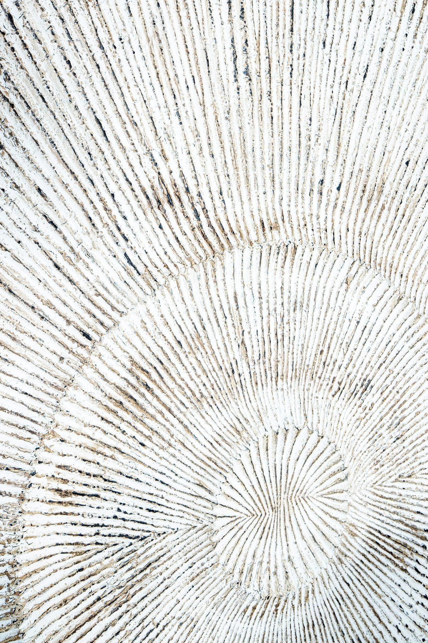 Wandpaneel Winston White Ribbed PTMD - Wandpaneel - PTMD - livinglovely.nl