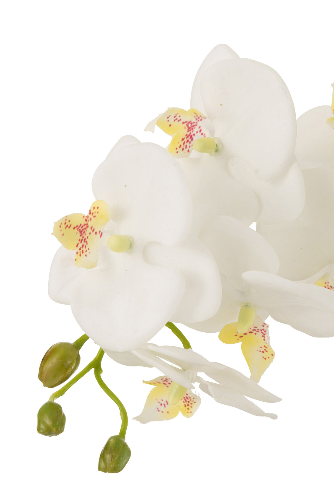 Orchidee In Aarde Plastiek Wit/Groen Large 32x32x75cm