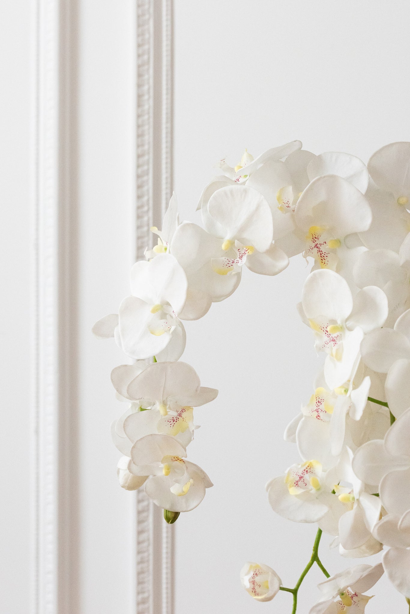 Orchidee In Aarde Plastiek Wit/Groen Extra Large L60cmb53cmh104cm