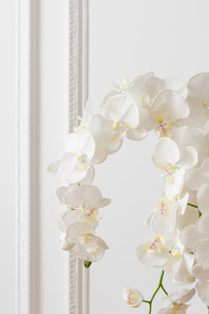 Orchidee In Aarde Plastiek Wit/Groen Extra Large L60cmb53cmh104cm