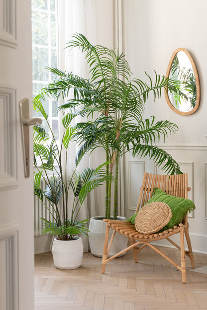 Bamboepalm In Pot Plastiek Groen/Zwart Small J-Line