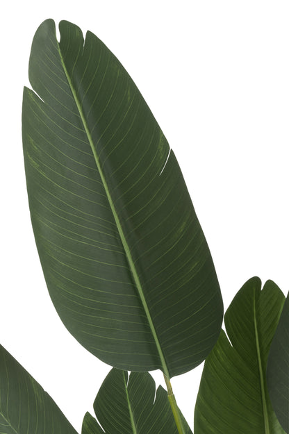 Strelitzia Plastiek Groen Small
