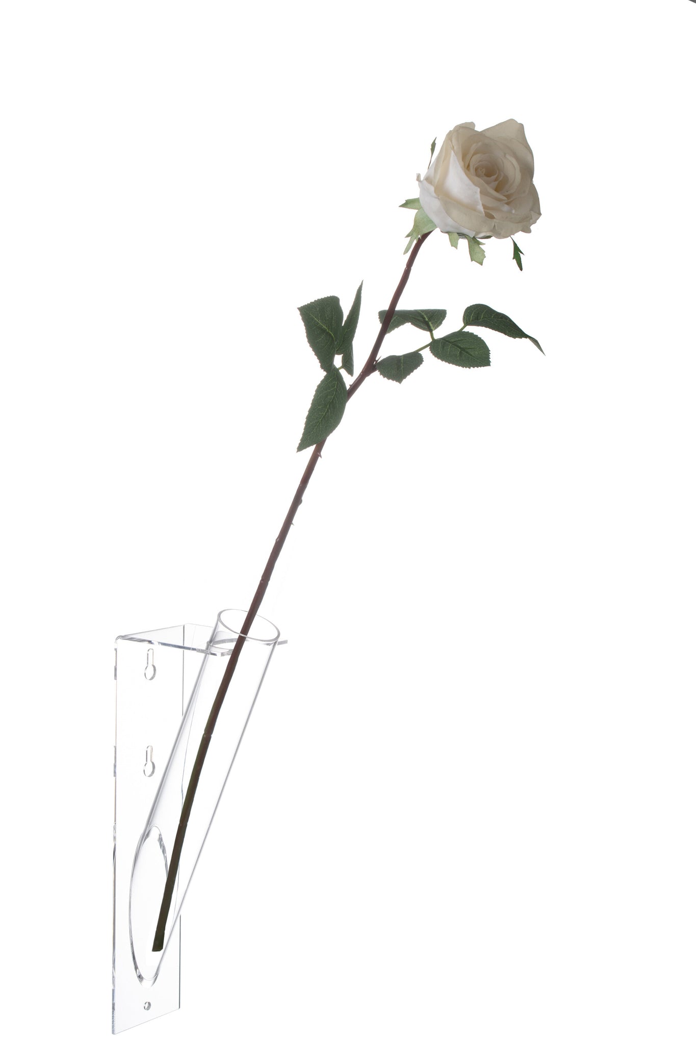 Bloemenhouder Tube Acryl 26cm J-Line